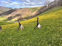 Erlebnispadagogische Tage Losenstein 1a   2024 04 03 05   69